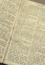English Bible Luke 23 (Yellow) 