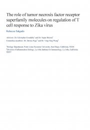 The Role of Tumor Necrosis Factor Receptor Superfamily Molecules on regulation of T cell response to Zika virus