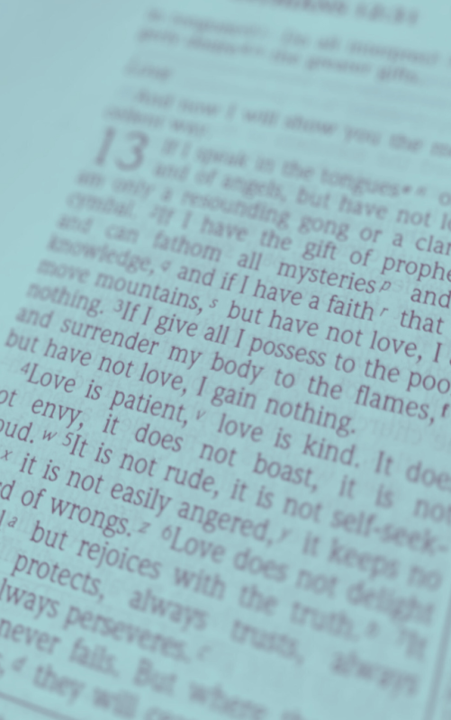 English Bible in Light Blue
